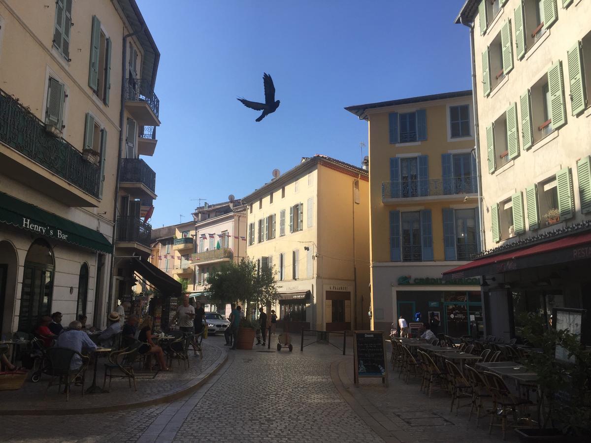 Villa Rocamar Vence Bagian luar foto