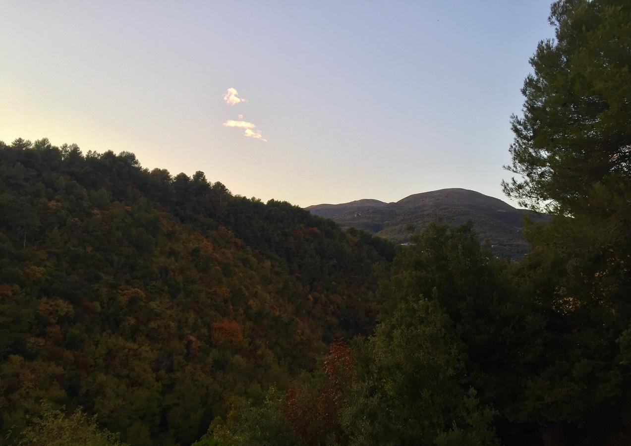 Villa Rocamar Vence Bagian luar foto